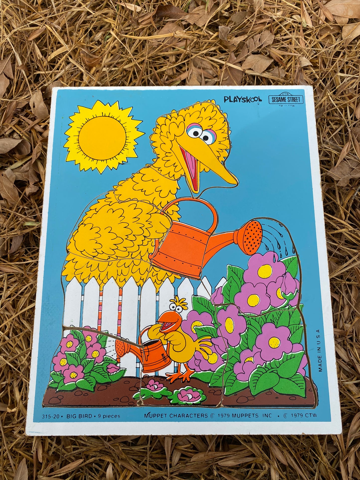 Playskool Puzzles