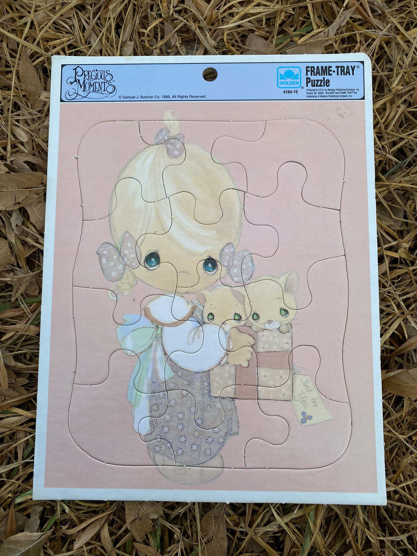Individual Golden Frame-Tray Puzzles