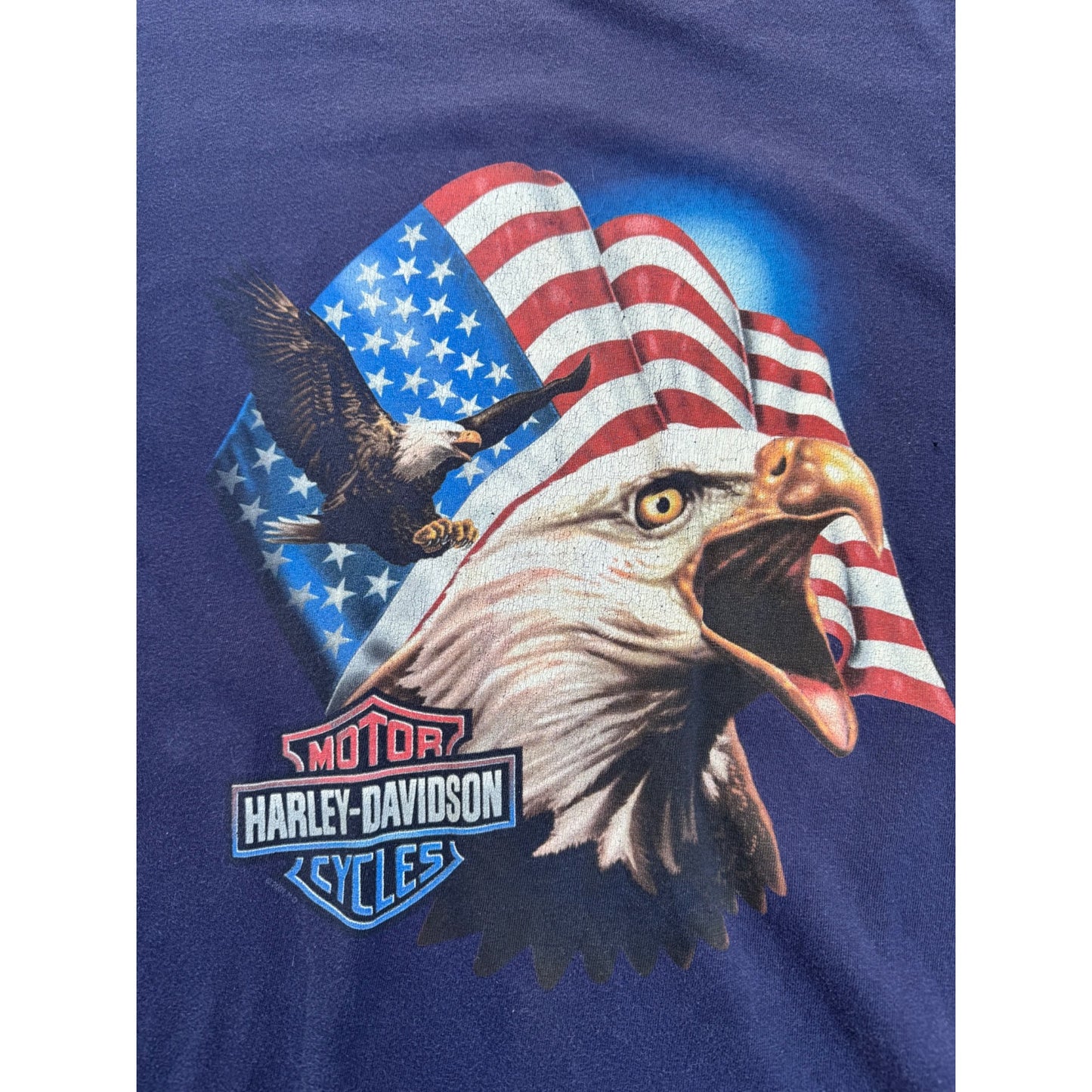 00' Bluegrass Harley Davidson American Bald Eagle Tee T-Shirt 2XL