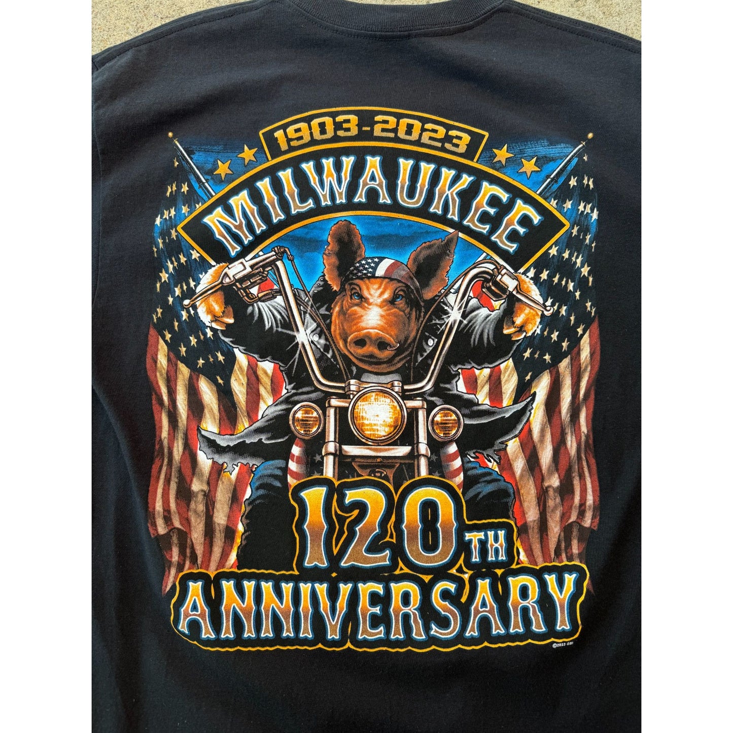 NEW 2013 Milwaukee Hogg 120th Anniversary Motorcycle Rally Graphic Tee Medium